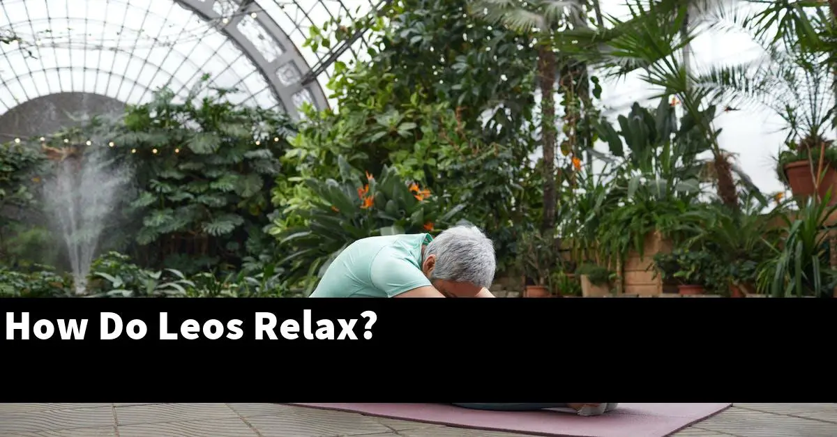 How Do Leos Relax?